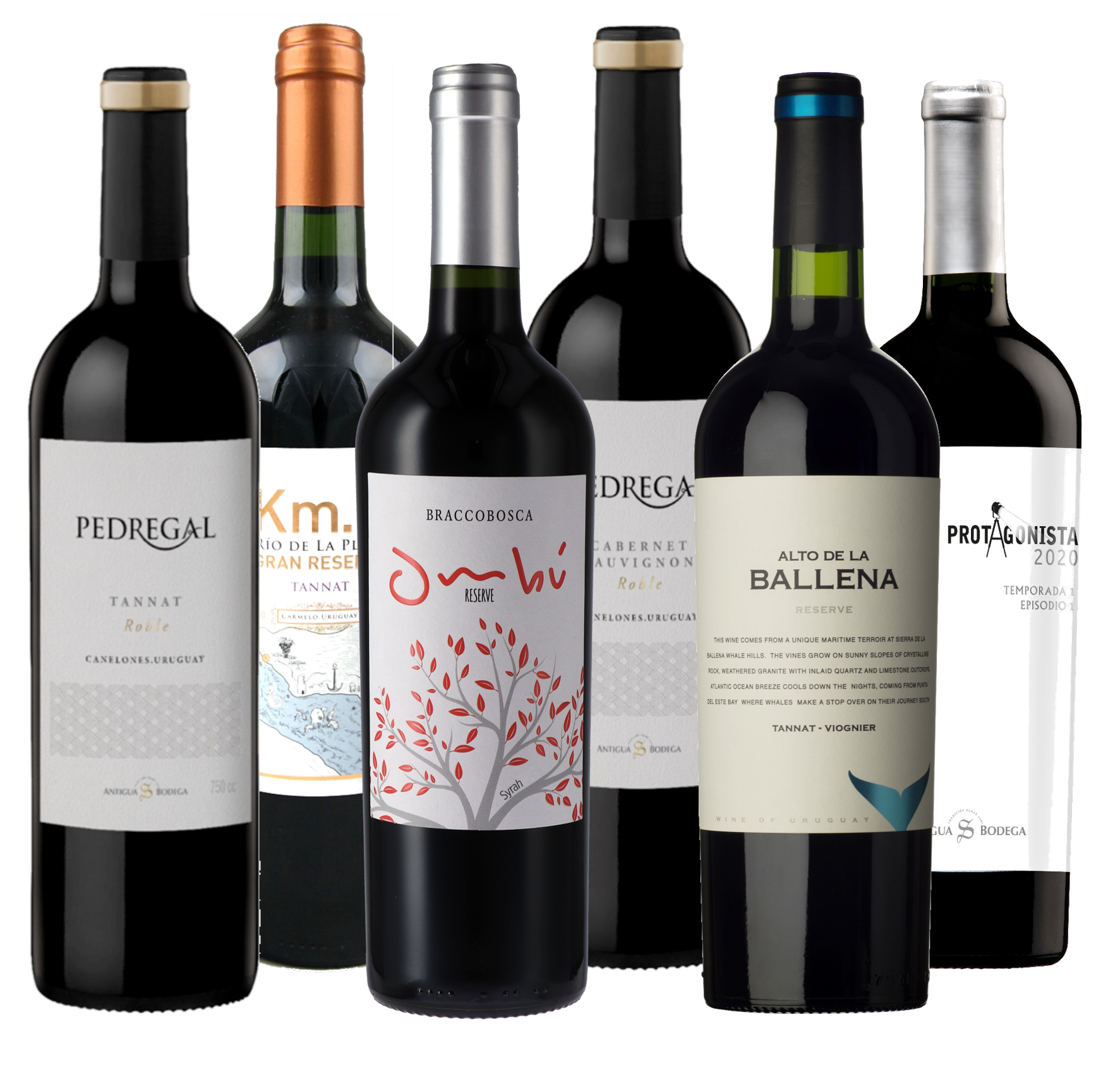 Wine Tasting Pack - Malbec only II