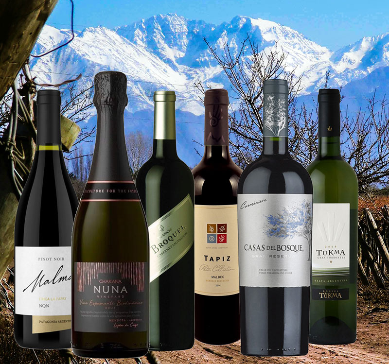 Wine tasting pack: Great vines, great terroirs