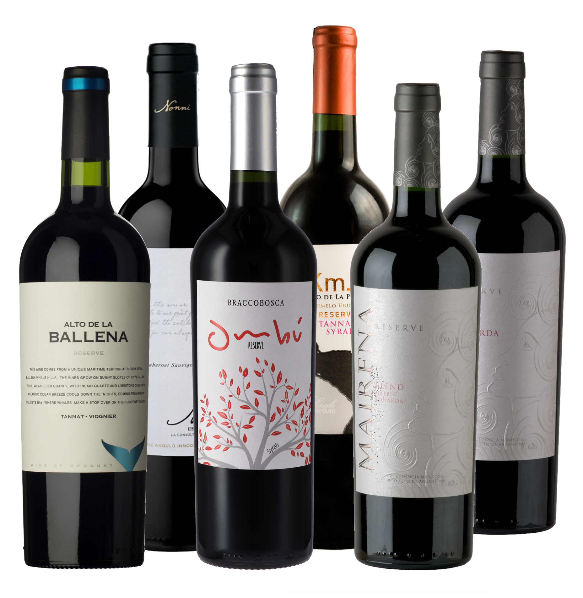 Wine Tasting Pack - Malbec only II