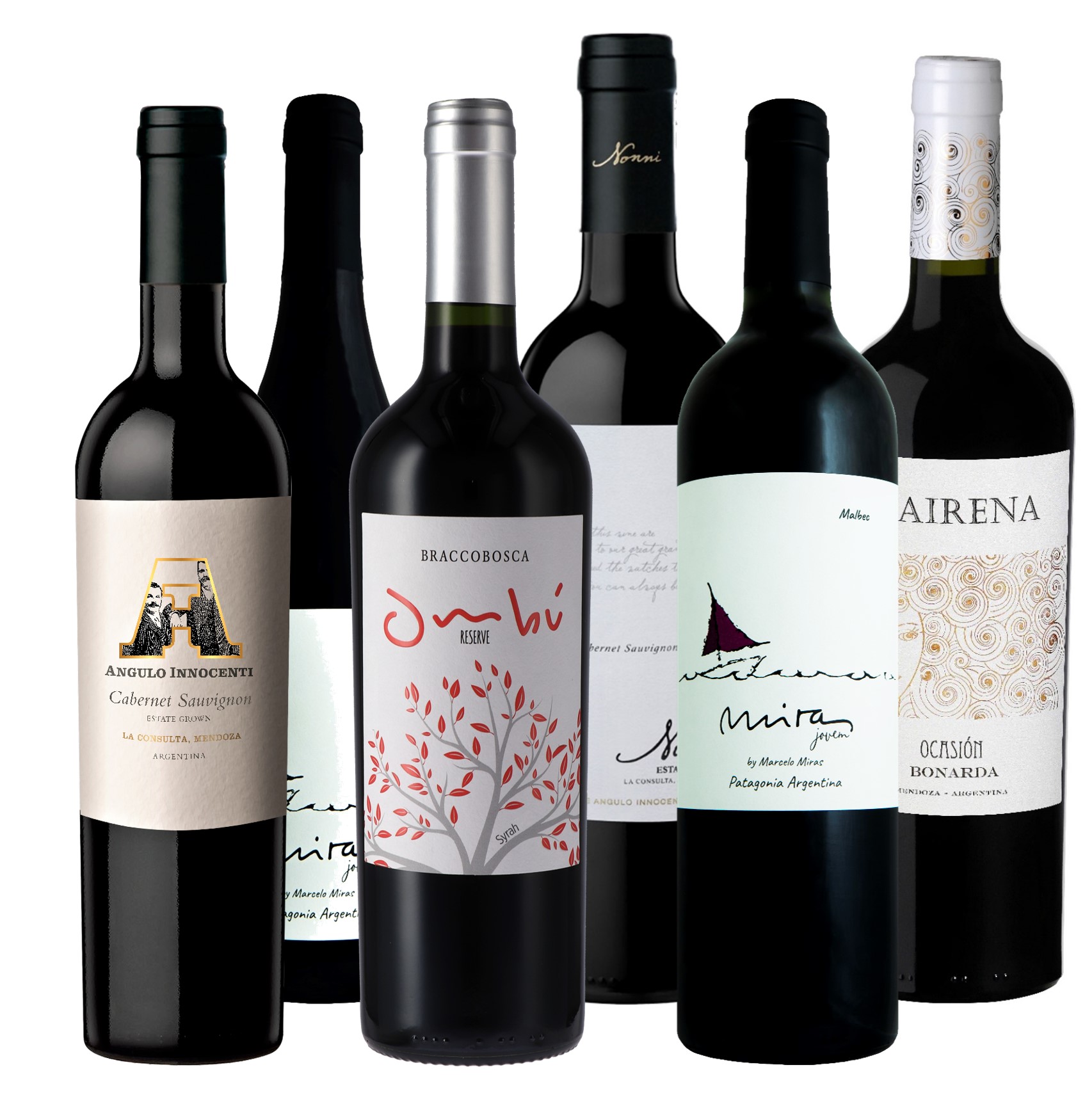 Herbst in den Anden Weinpaket  Herbst in den Anden Weinpaket