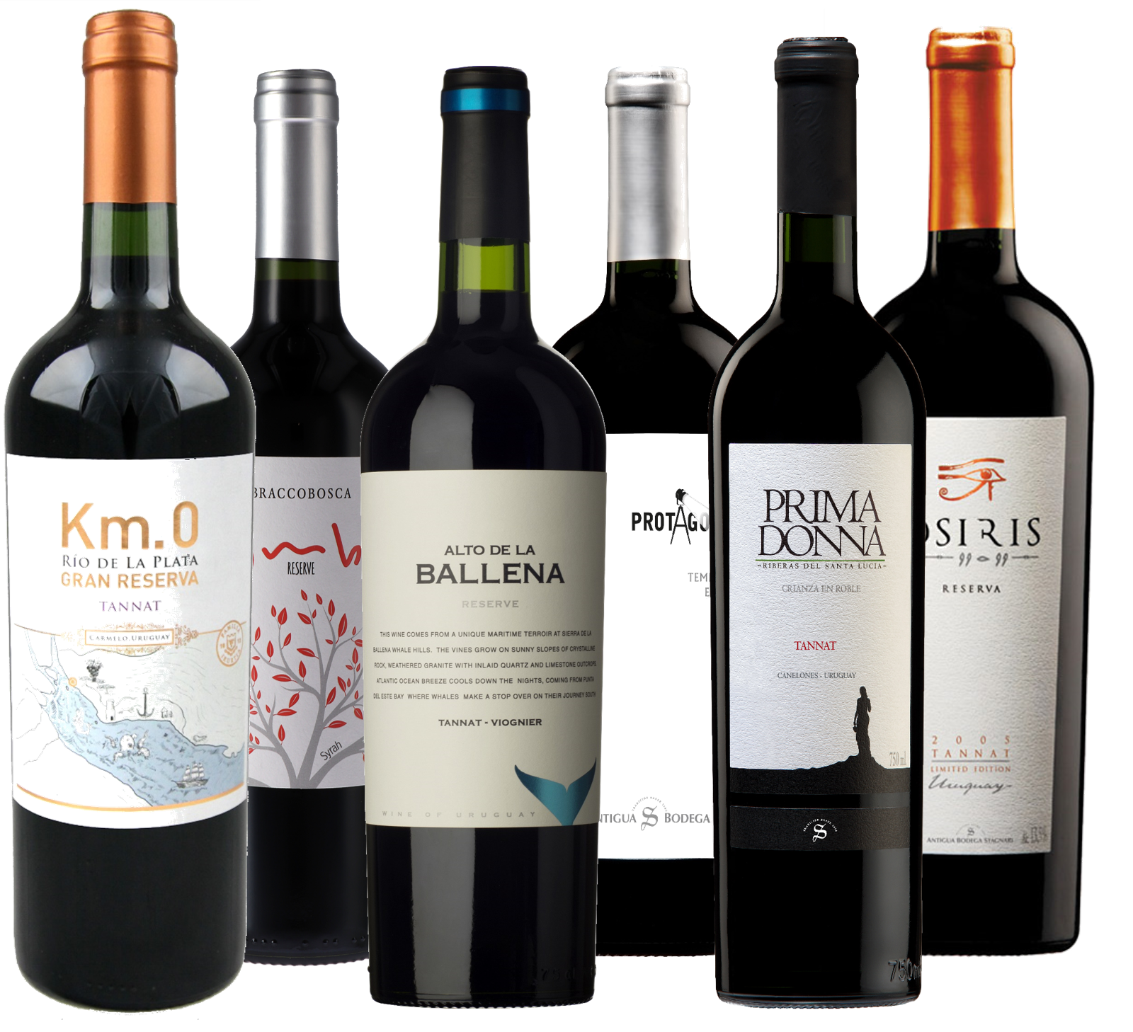 Wine Tasting Pack - Malbec only II