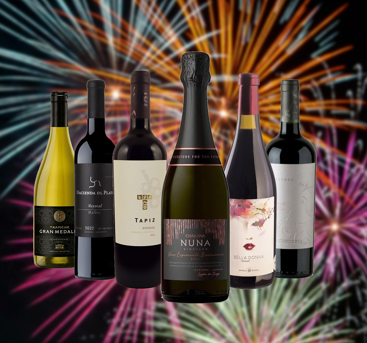 Wine tasting pack: Let's celebrate South America