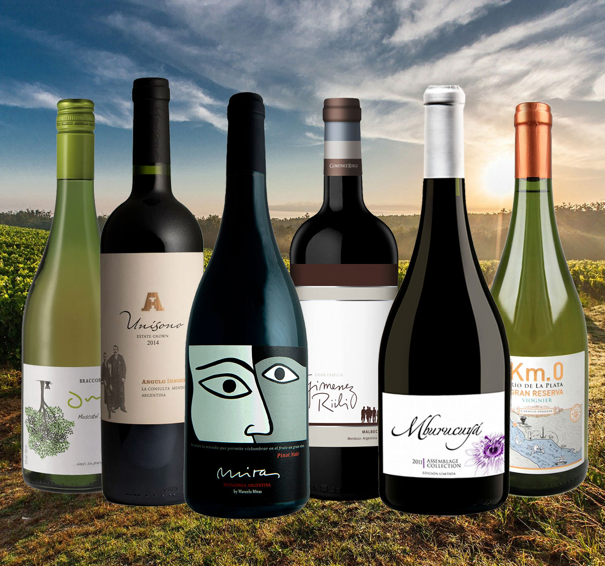 Wine tasting pack: The best of Argentina and Uruguay
